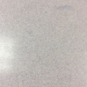 Meet your Posher, Albert